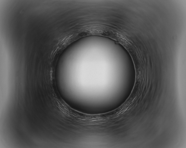 X0000087311108200704200712