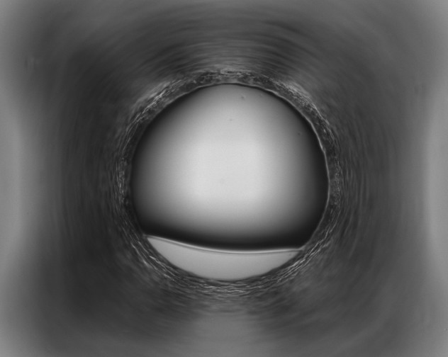 X0000087311110200704200712