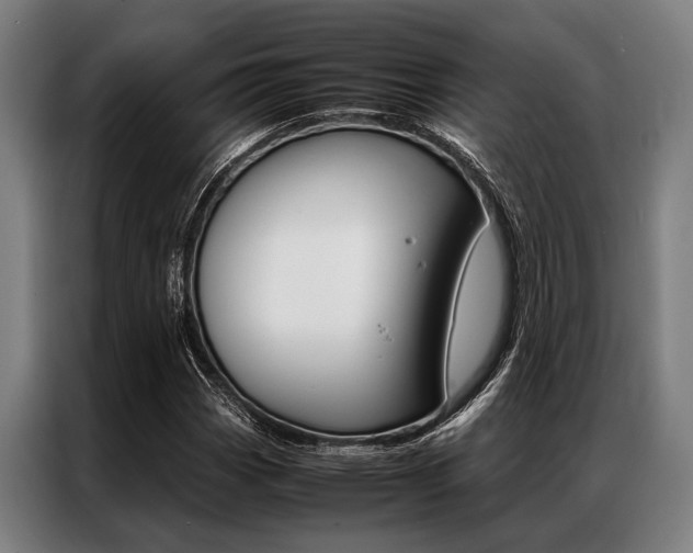 X0000087311113200704200712