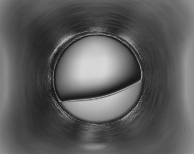 X0000087311115200704200712