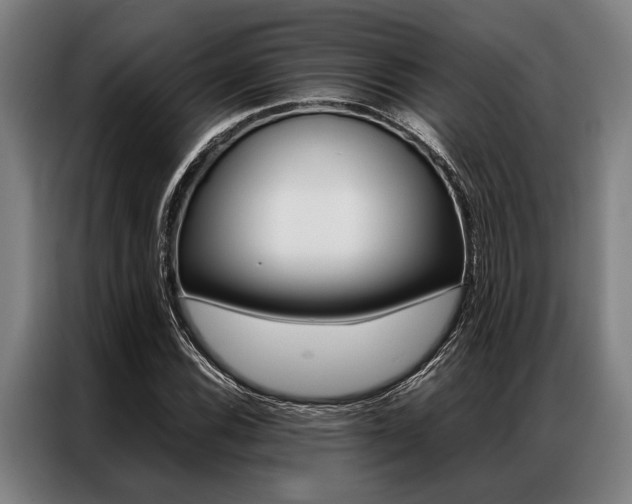 X0000087311116200704200712