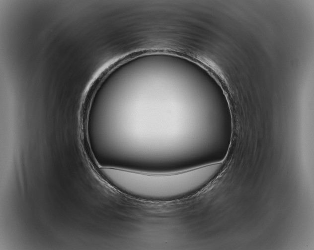 X0000087311120200704200712