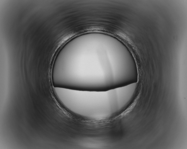 X0000087311121200704200712