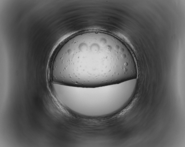 X0000087311125200704200712