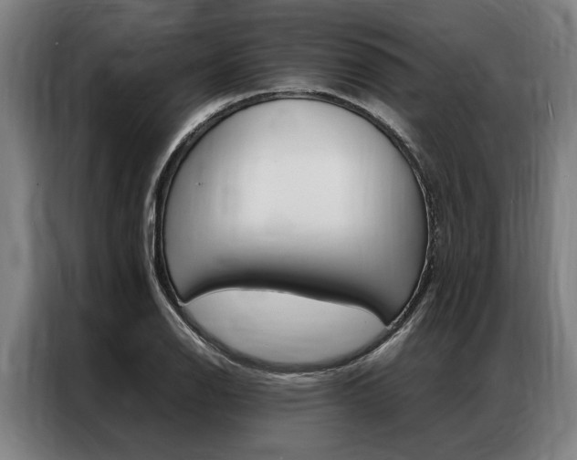 X0000087311126200704200712