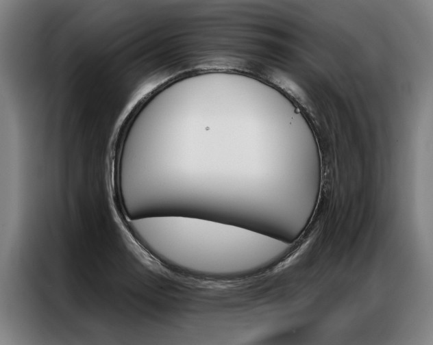 X0000087311130200704200712