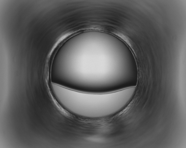 X0000087311131200704200712