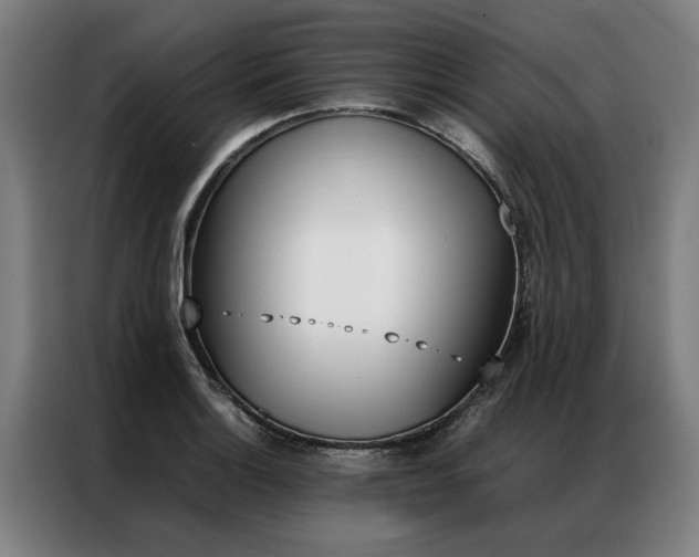 X0000087311132200704200712