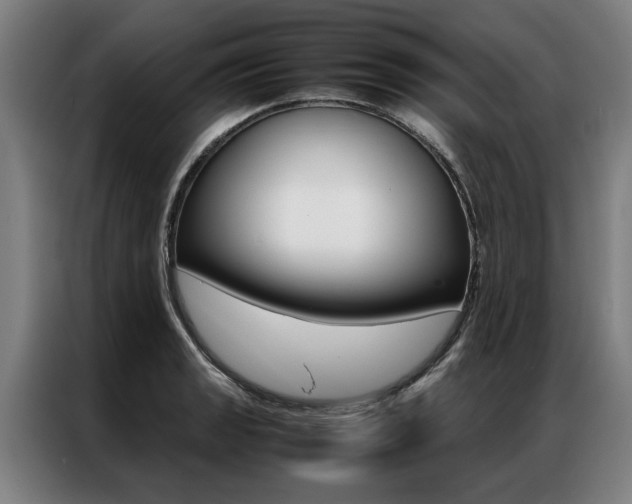 X0000087311133200704200712