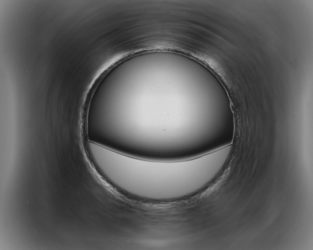 X0000087311134200704200712