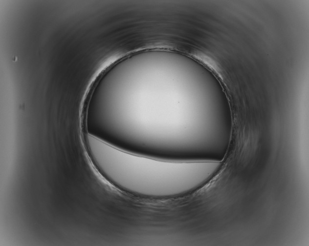 X0000087311135200704200712