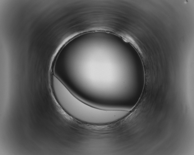X0000087311140200704200712