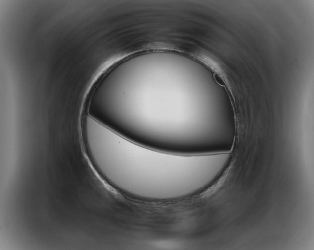 X0000087311141200704200712