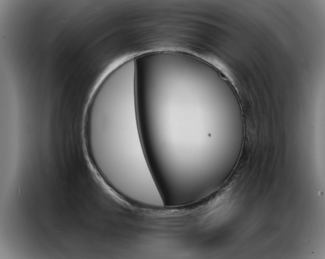 X0000087311142200704200712