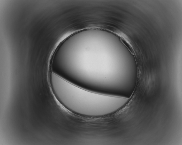 X0000087311143200704200712