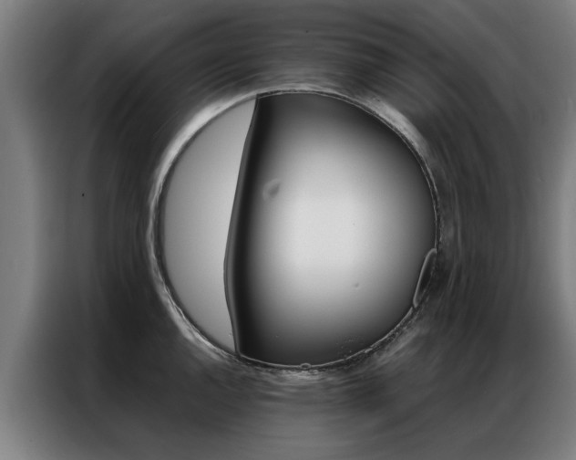 X0000087311144200704200712