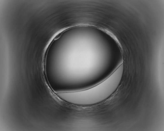 X0000087311148200704200712