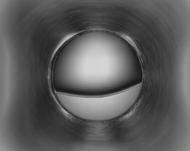 X0000087311149200704200712