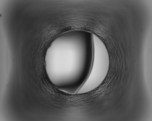 X0000087311153200704200712