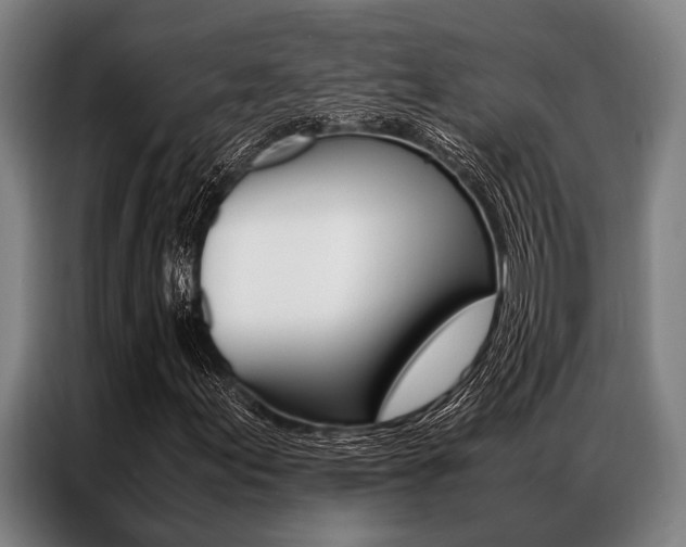 X0000087311155200704200712