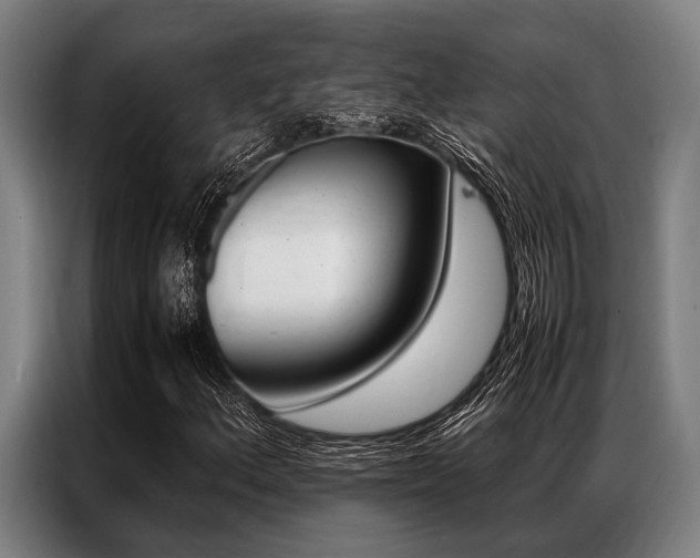X0000087311156200704200712