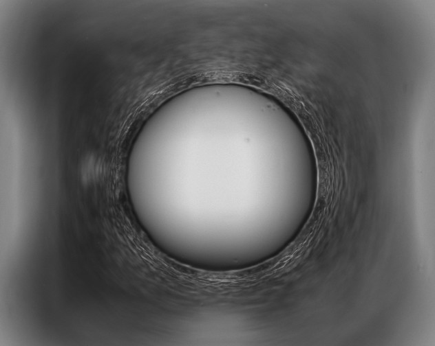 X0000087311157200704200712