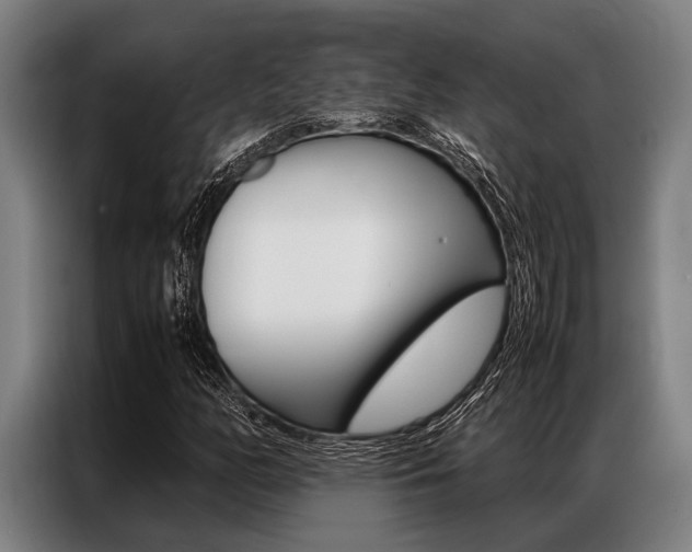 X0000087311158200704200712