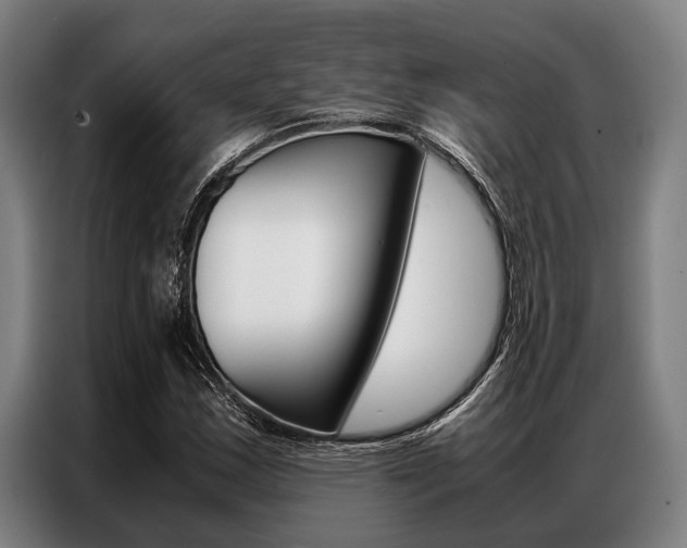 X0000087311163200704200712
