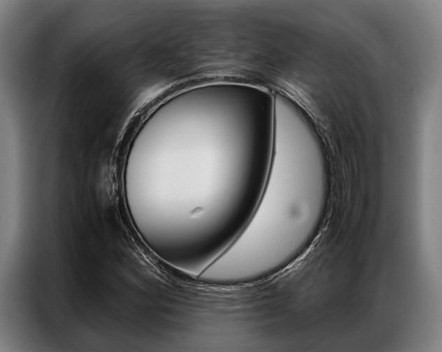 X0000087311164200704200712