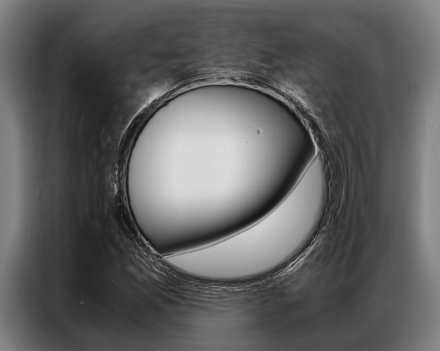 X0000087311165200704200712