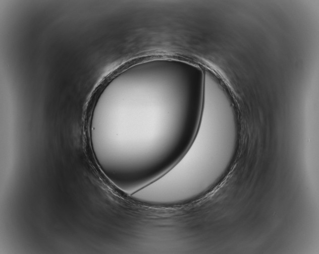 X0000087311168200704200712