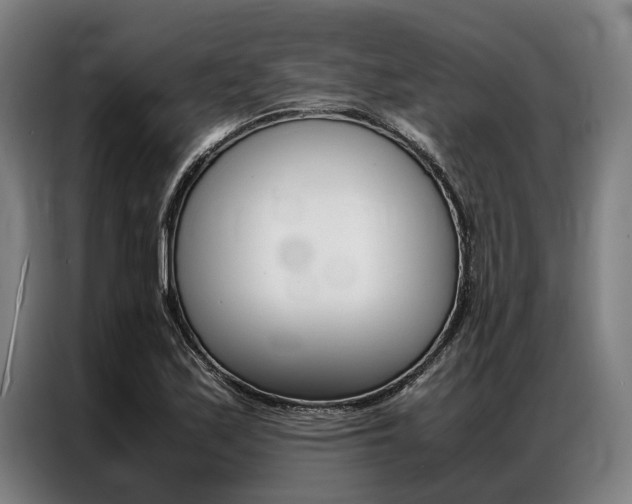 X0000087311171200704200712