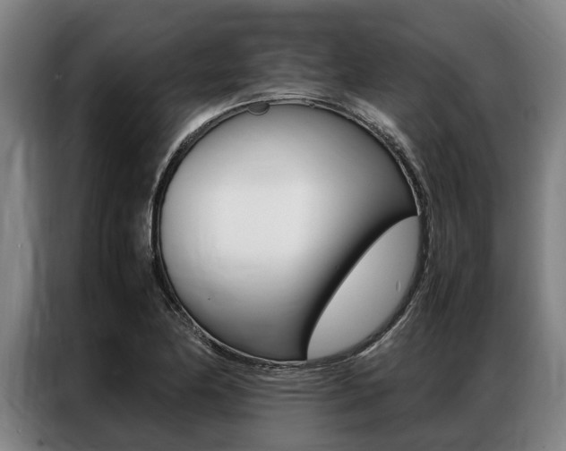 X0000087311174200704200712