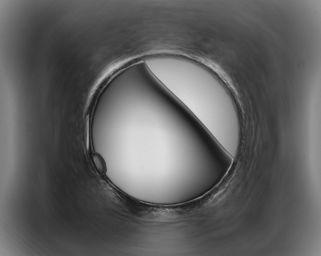 X0000087311175200704200712