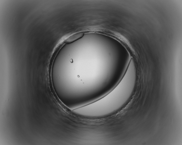 X0000087311176200704200711