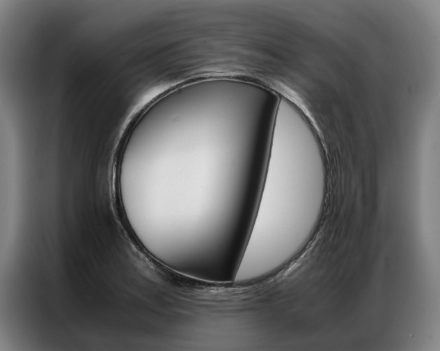 X0000087311179200704200711