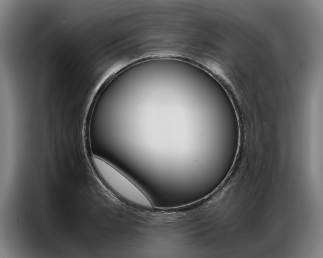 X0000087311181200704200711