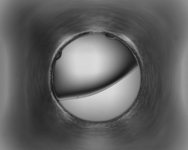X0000087311183200704200711