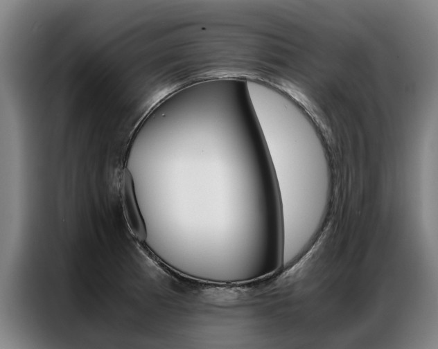 X0000087311185200704200711