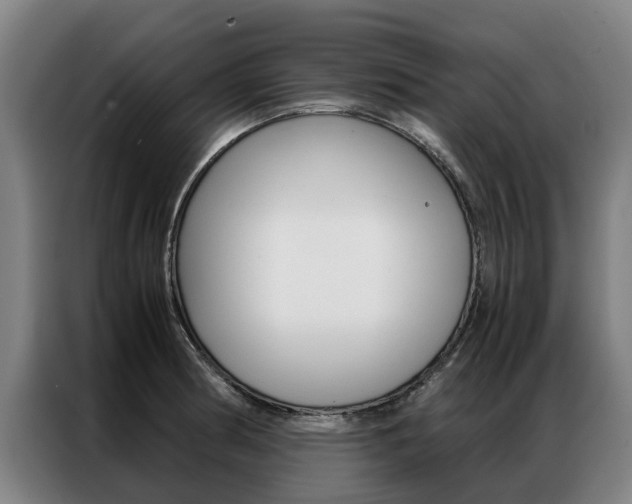 X0000087311186200704200711
