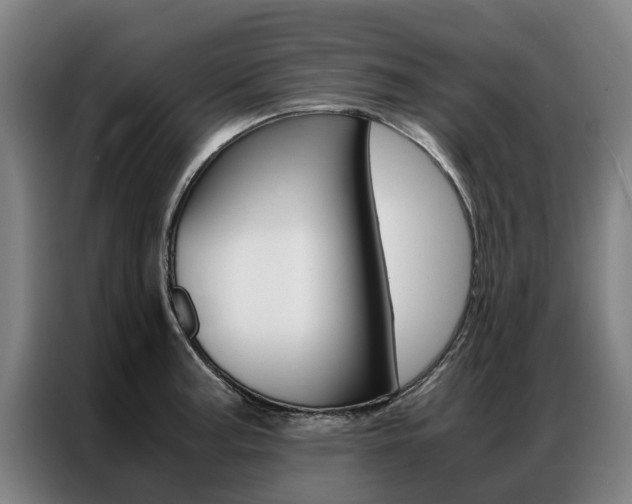 X0000087311187200704200711