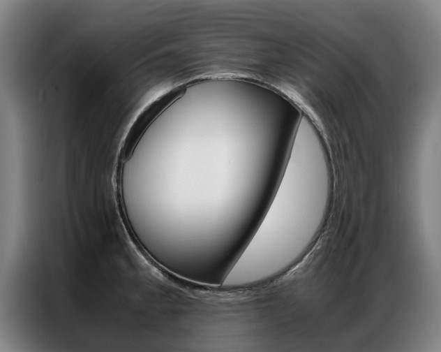 X0000087311189200704200711