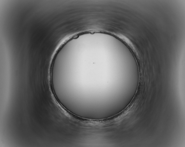 X0000087311191200704200711