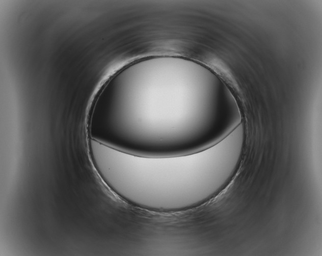 X0000087311192200704200711