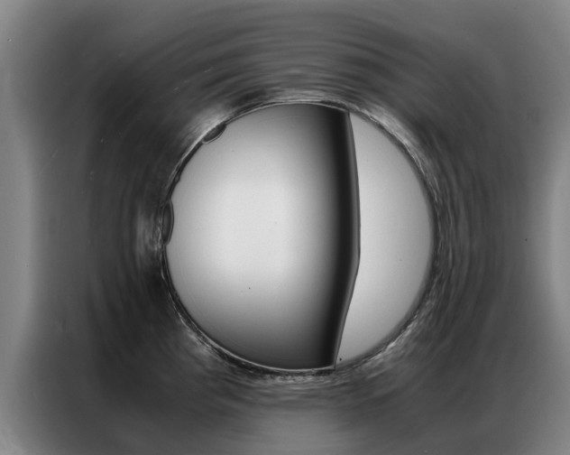X0000087311193200704200711