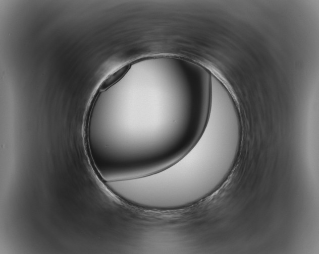 X0000087311197200704200711