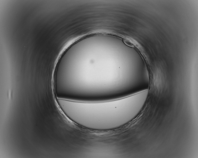 X0000087311199200704200711