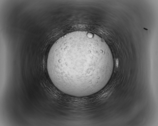 X0000087311203200704200711