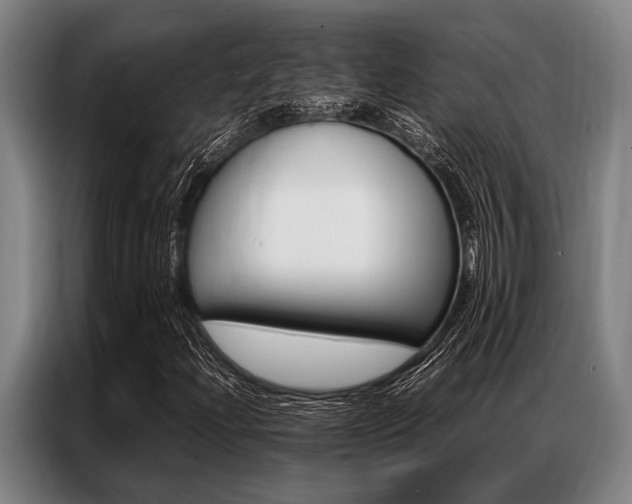 X0000087311204200704200711