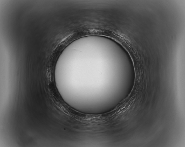 X0000087311205200704200711